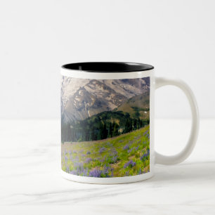 USA, Washington, Rainier National Park. Zweifarbige Tasse