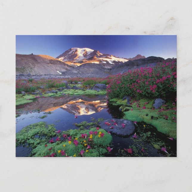 USA, Washington, Rainier NP, Sonnenaufgang, Postkarte (Vorderseite)