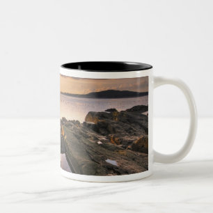 USA, Washington, San Juan Islands. Ein dramatisch Zweifarbige Tasse