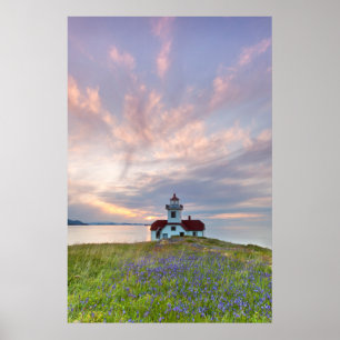 USA, Washington, San Juan Islands. Sonnenuntergang Poster