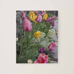 USA, Washington, Seabeck. Tulpen säumen den Garten