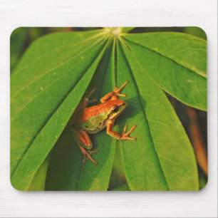 USA, Washington, Seattle, Discovery Park 2 Mousepad