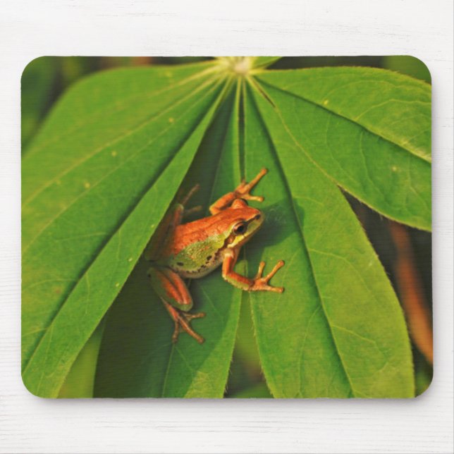 USA, Washington, Seattle, Discovery Park 2 Mousepad (Vorne)
