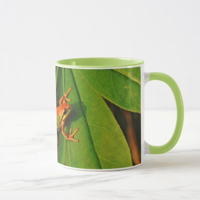 USA, Washington, Seattle, Discovery Park 2 Tasse (Rechts)