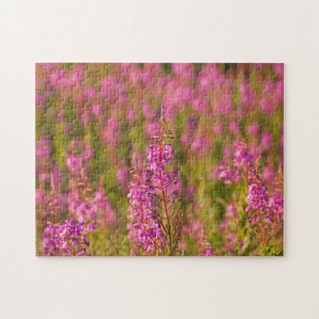 USA, Washington, Seattle, Discovery Park 3 (Horizontal)