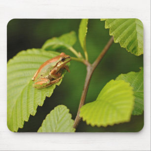 USA, Washington, Seattle, Discovery Park Mousepad
