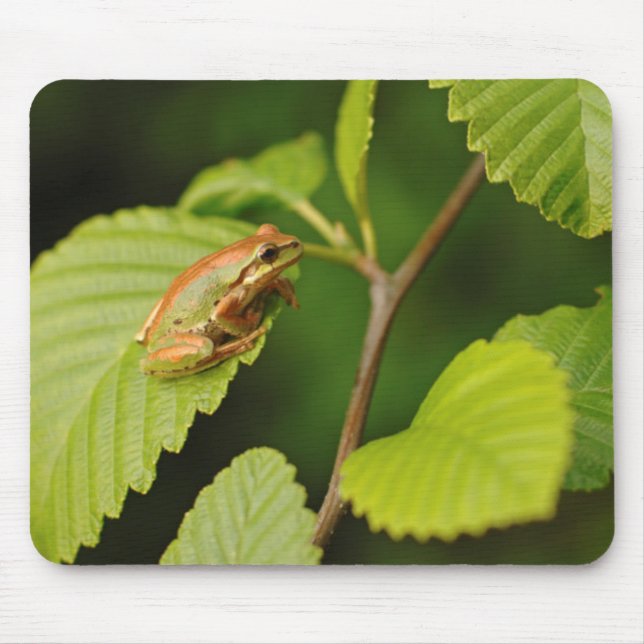 USA, Washington, Seattle, Discovery Park Mousepad (Vorne)