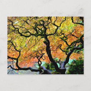 USA, Washington, Seattle, Kubota-Garten. Postkarte