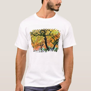 USA, Washington, Seattle, Kubota-Garten. T-Shirt
