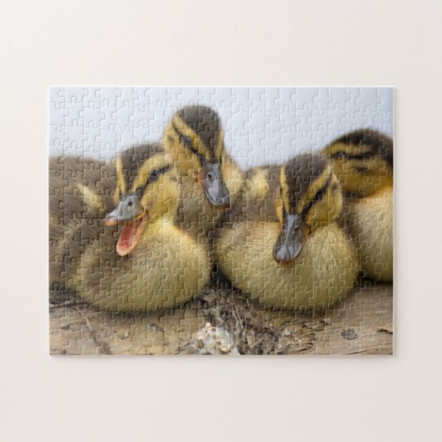 USA, Washington, Seattle, Lake Washington (Horizontal)