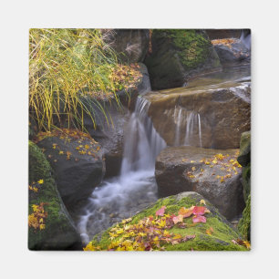 USA, Washington, Seattle Magnet