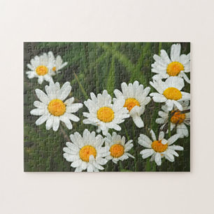 USA, Washington, Seattle, Puget Sound 3