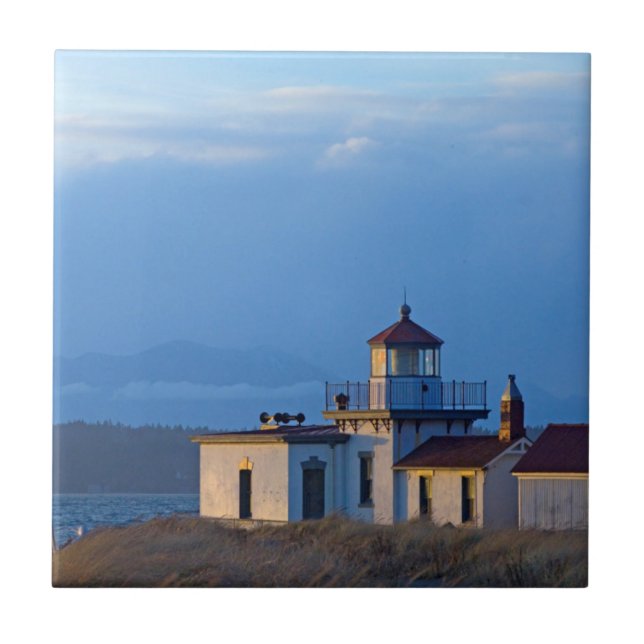 USA, Washington, Seattle, Puget Sound Fliese (Vorderseite)