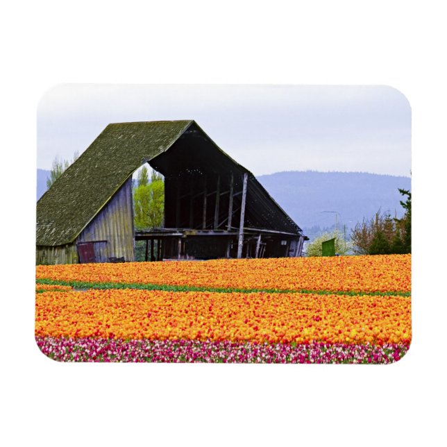 USA, Washington, Skagit Valley. 2 Magnet (Horizontal)