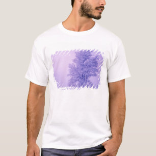 USA, Washington, Spokane County, Bereift T-Shirt