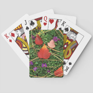 USA, Washington, Spokane County, Hawthorn Leaves 3 Spielkarten