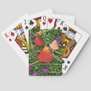 USA, Washington, Spokane County, Hawthorn Leaves 3 Spielkarten