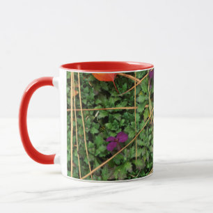 USA, Washington, Spokane County, Hawthorn Leaves 3 Tasse