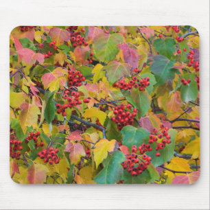 USA, Washington, Spokane Landkreis, Hawthorn Blät Mousepad