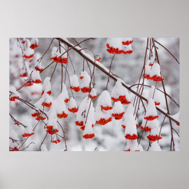 USA, Washington, Spokane, Landkreis Poster (Vorne)