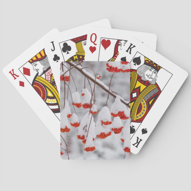 USA, Washington, Spokane Landkreis Spielkarten (Rückseite)
