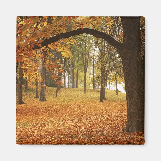 USA, Washington, Spokane, Manito Park, Herbst 2 Magnet (Vorne)