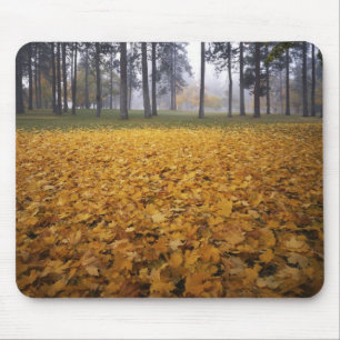 USA, Washington, Spokane, Manito Park, Herbst Mousepad