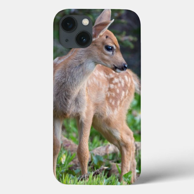 USA, Washington-Staat. Blacktail Rotwild-Kitz Case-Mate iPhone Hülle (Rückseite)