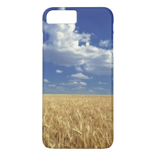 USA, Washington Staat, Colfax. Reizweizen Case-Mate iPhone Hülle