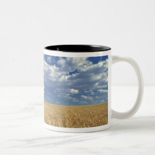 USA, Washington Staat, Colfax. Reizweizen Zweifarbige Tasse