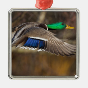 USA, Washington Staat, Mallard, Mann, Fliege. Ornament Aus Metall