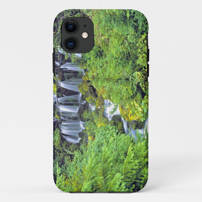 USA, Washington Staat, Mt Adams Wilderness. Zwilli Case-Mate iPhone Hülle (Rückseite)