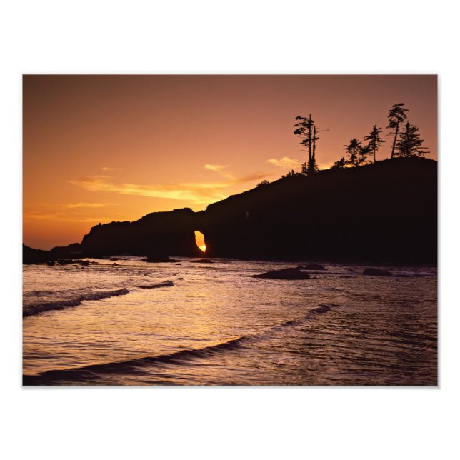 USA, Washington Staat, Olympic National Park. 3 Fotodruck (Vorne)