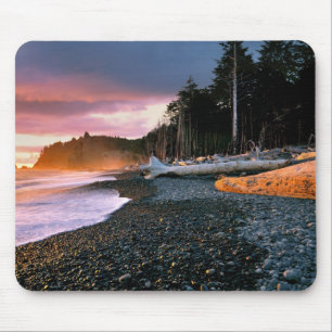 USA, Washington Staat, Olympic NP. Wellen raufen Mousepad