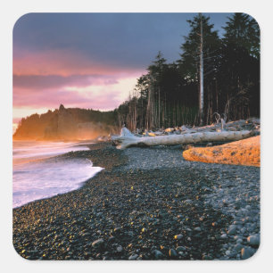 USA, Washington Staat, Olympic NP. Wellen runter Quadratischer Aufkleber