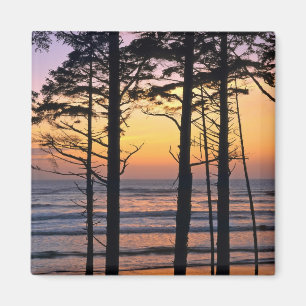 USA, Washington Staat, Olympic NP. Zierlich Magnet