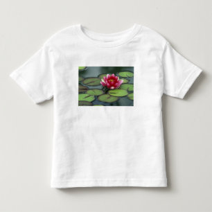 USA, Washington Staat, Seattle. Wasserlilie und Kleinkind T-shirt