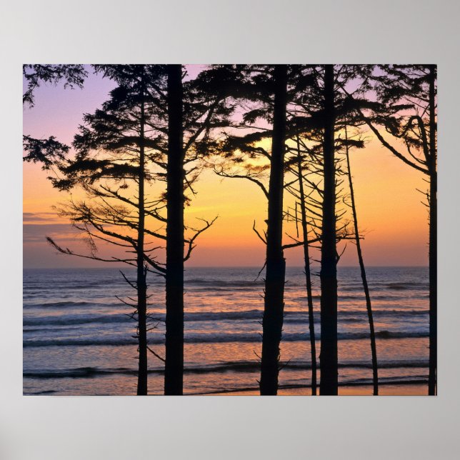 USA, Washington State, Olympic NP. Delicate Poster (Vorne)