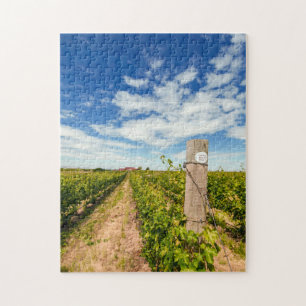 USA, Washington, Walla. Cabernet Sauvignon