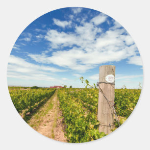 USA, Washington, Walla Walla. Cabernet Sauvignon Runder Aufkleber