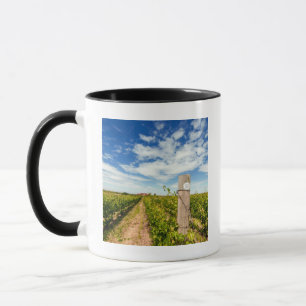 USA, Washington, Walla Walla. Cabernet Sauvignon Tasse