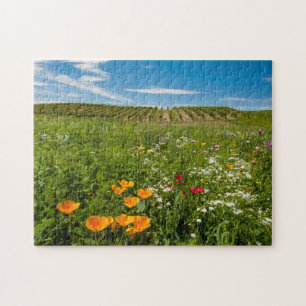 USA, Washington, Walla Walla. Wildblumen