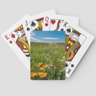 USA, Washington, Walla Walla. Wildblumen Spielkarten