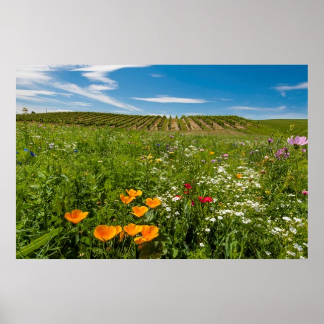 USA, Washington, Walla. Wildblumen Poster (Vorne)