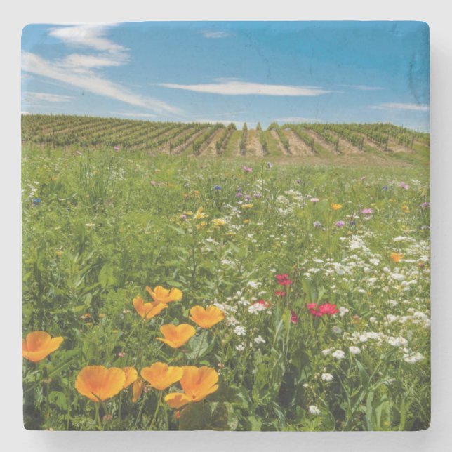 USA, Washington, Walla.Wildblumen Steinuntersetzer (Vorderseite)