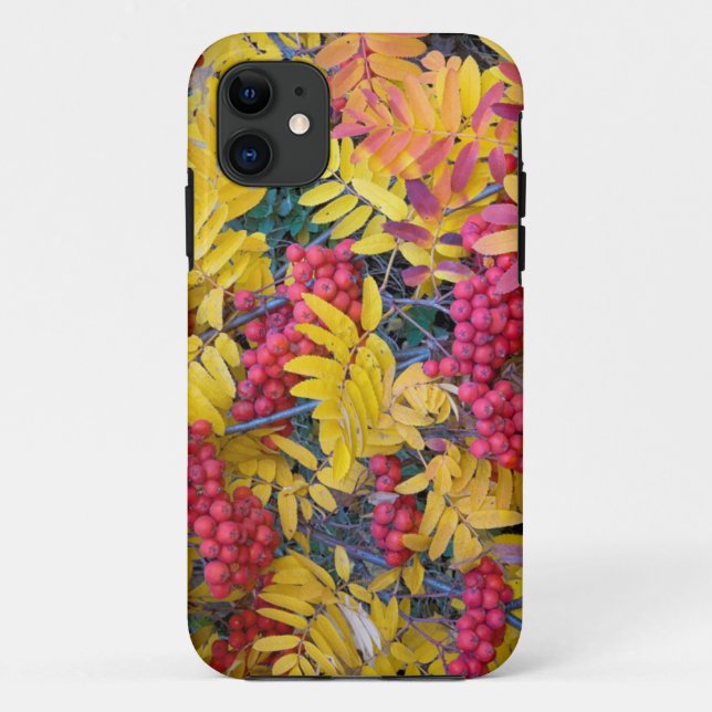 USA, Washington, Western Mountain Ash, Okanogan Case-Mate iPhone Hülle (Rückseite)