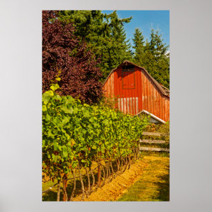 USA, Washington, Whidbey Insel. Weinkellerei Poster