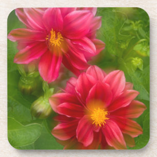 USA, Washington, Whidbey Island. Dahlien-Montage Untersetzer