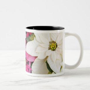 USA, Washington, Woodinville, Molbak's Nursery, 2 Zweifarbige Tasse
