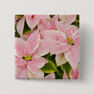 USA, Washington, Woodinville, Molbak's Nursery, 4 Button
